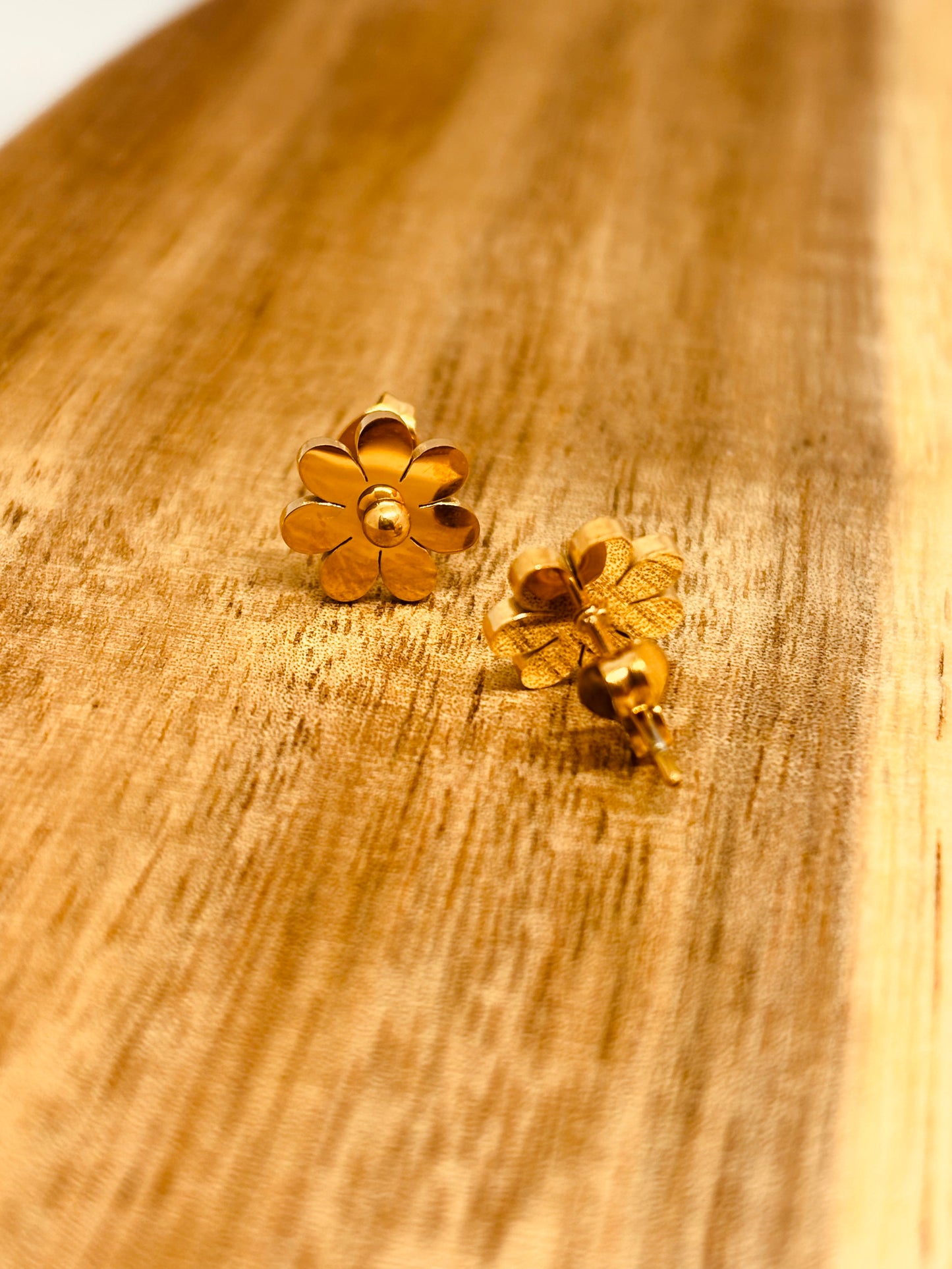 PENDIENTES BRISA