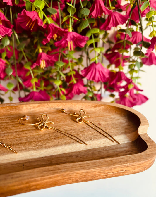 PENDIENTES SALINA