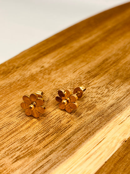 PENDIENTES BRISA