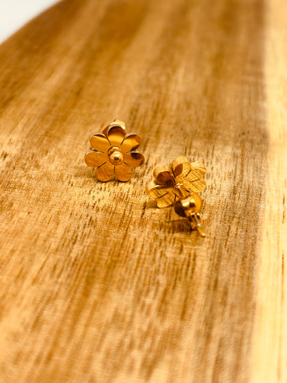 PENDIENTES BRISA