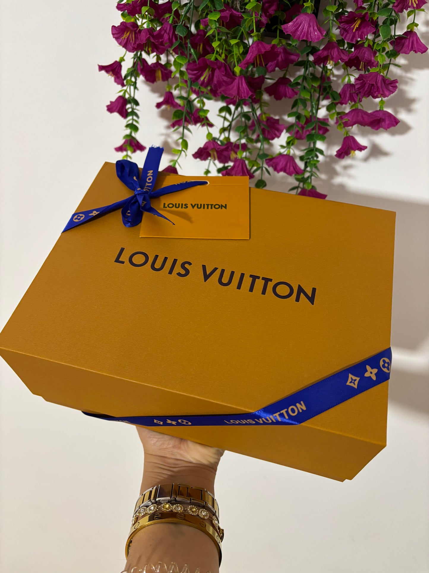 Bolso Lv