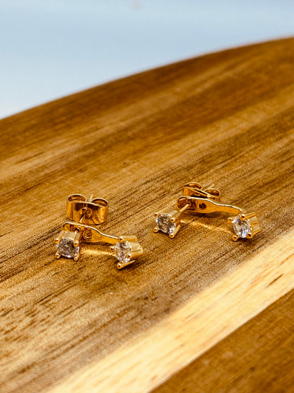 PENDIENTES MARISMA