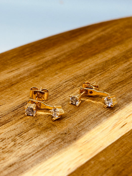 PENDIENTES MARISMA