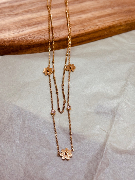 COLLAR ROCHE