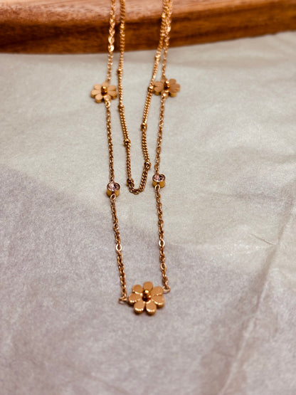 COLLAR ROCHE